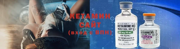 крисы Горняк
