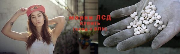 крисы Горняк
