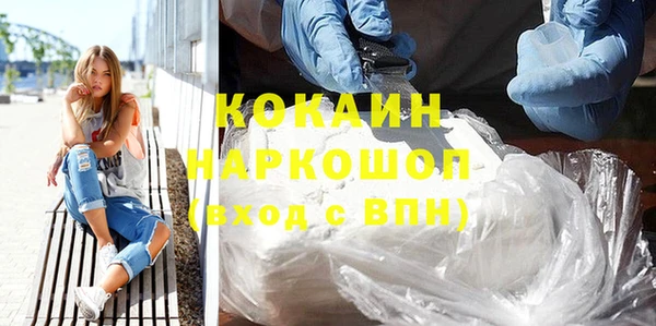 крисы Горняк