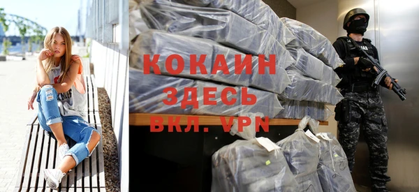 крисы Горняк