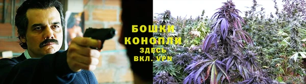 крисы Горняк