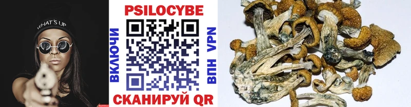 Галлюциногенные грибы прущие грибы  Юрюзань 